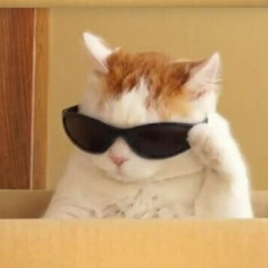 Максим Андреев