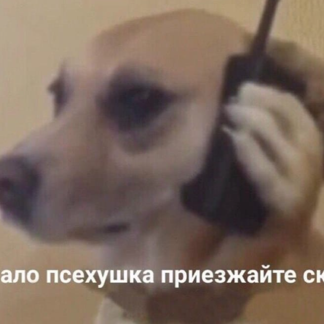 Юфкин Алексей