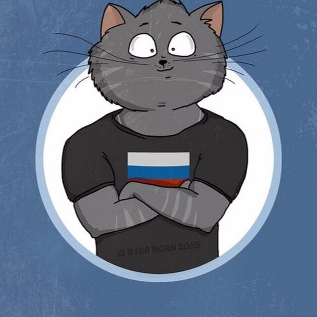 Картинки котов на стим, смешные картинки