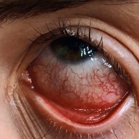 Спирин Дмитрий