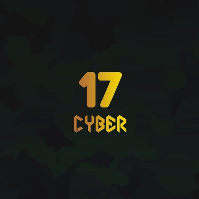 Cyber Seventeen