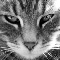 Сизонова Людмила