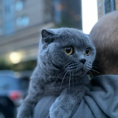 Павлов Михаил