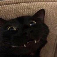 Клёцкин Денис