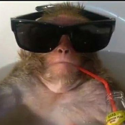 Кокорин Игорь