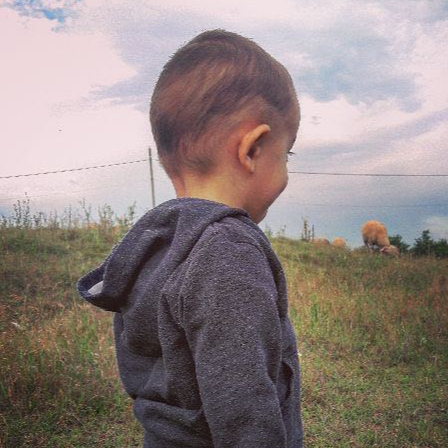 Антон Бадов