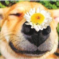 Выхренко Александр