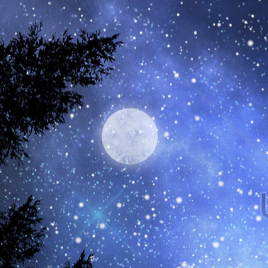 Даниил Нифёдов