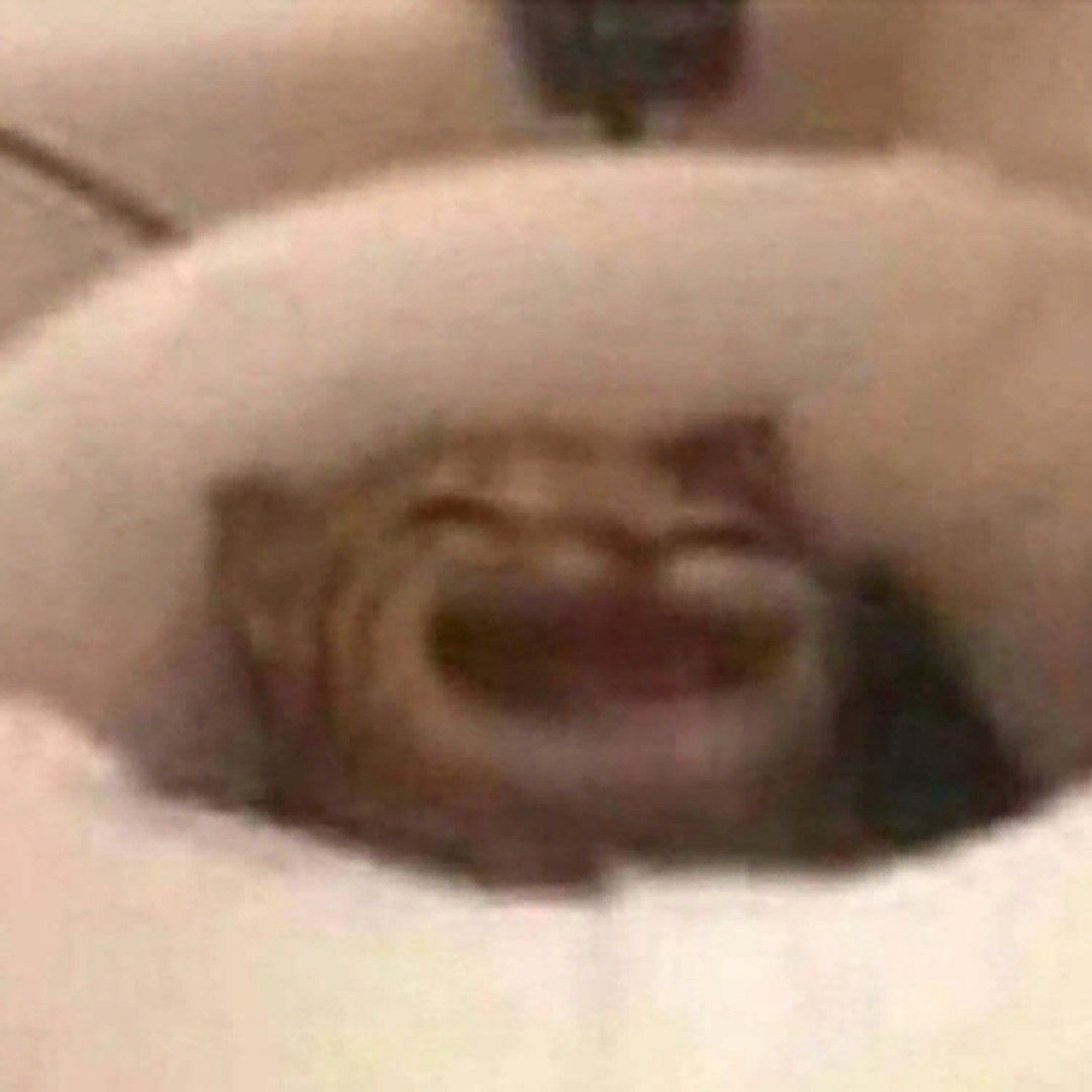 Марк "spicesole"